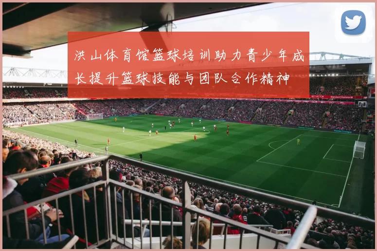 洪山体育馆篮球培训助力青少年成长提升篮球技能与团队合作精神