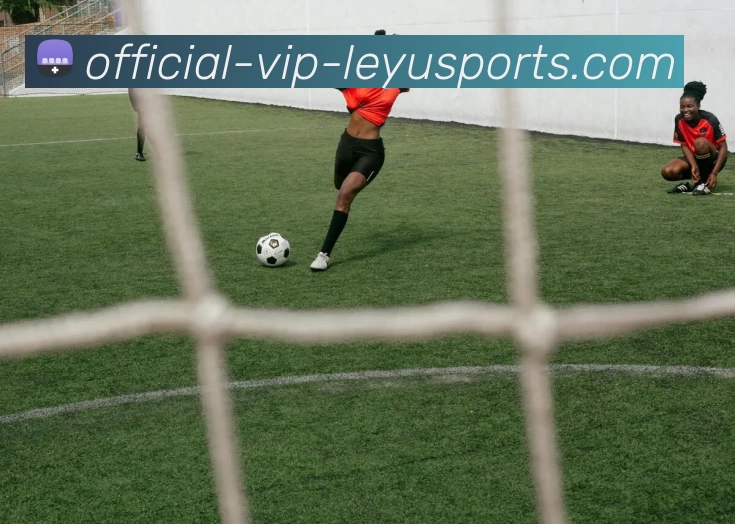 App Interface Preview